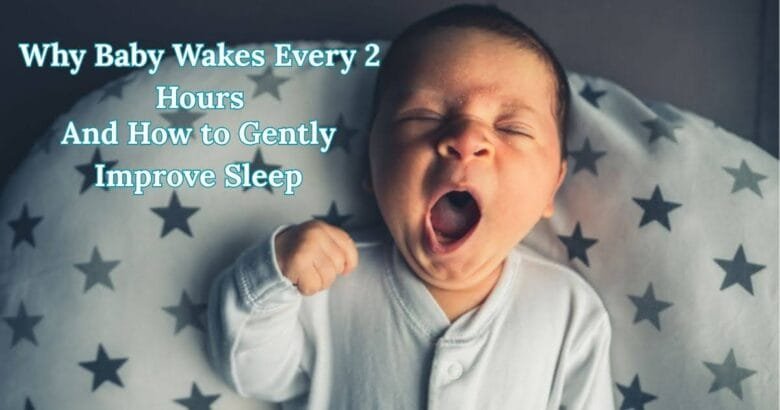 Baby Wakes Every 2 Hours
