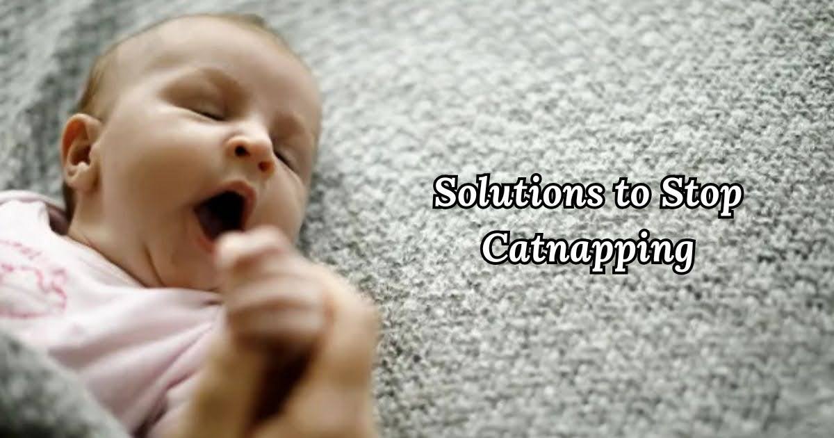 Solutions to Stop Catnapping